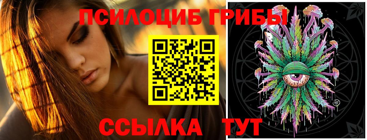 Галлюциногенные грибы Psilocybine cubensis Кингисепп
