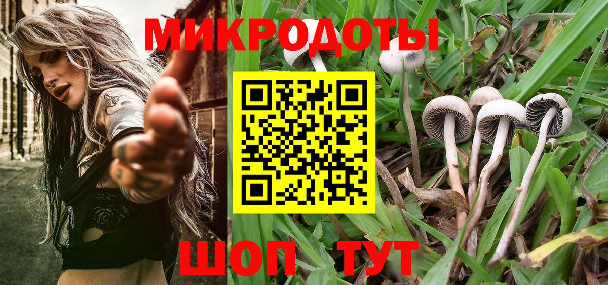 Галлюциногенные грибы Magic Shrooms  Псилоцибиновые грибы Magic Shrooms  где можно купить   Кингисепп  Вход с VPN 